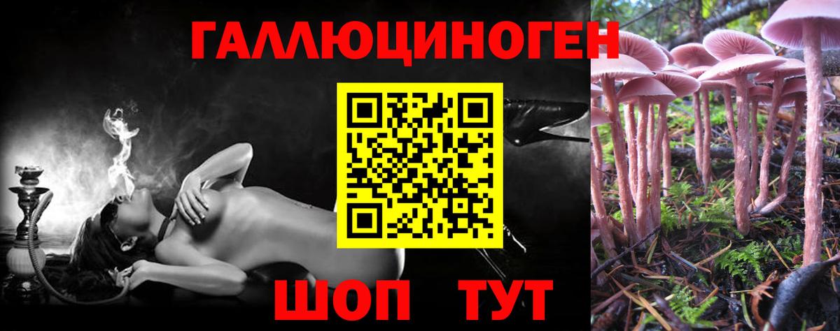 Марихуана  Удомля  ЭКСТАЗИ  Cocaine  Меф МЯУ МЯУ   Вход с VPN  ГАШ 